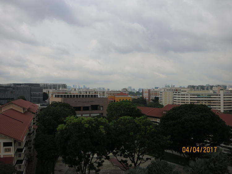 Blk 257 Serangoon Central Drive (Serangoon), HDB 4 Rooms #186935312